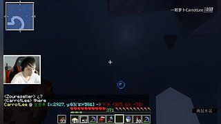 我的世界儿童游戏