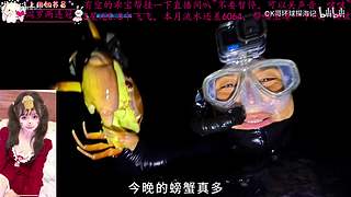 一个打的不错的甜妹儿OvO