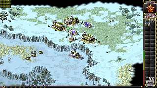 菜鸟互啄..... 9205757