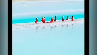 不羡鸳鸯不羡仙啊