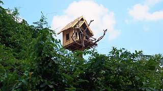 疯狂原始人带你荒野求生