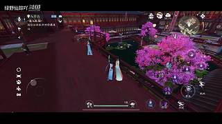 绿野仙踪吖的游戏直播间