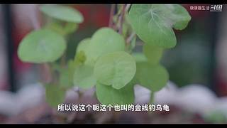 娱乐大于一切 10440627