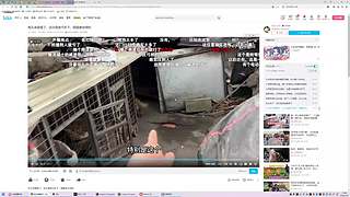 已出四钻老婆和我各两颗