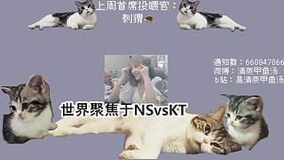 甲鱼：人皮子讨封中