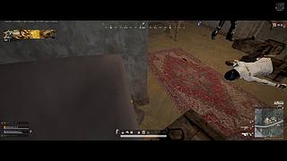 我也想成为绿玩高手 3763071