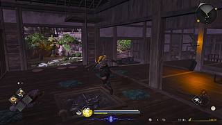 熊猫是熊不是猫儿~