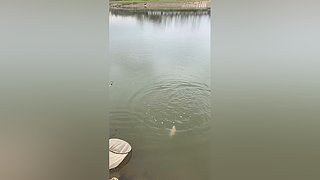 亮gnailux的直播间