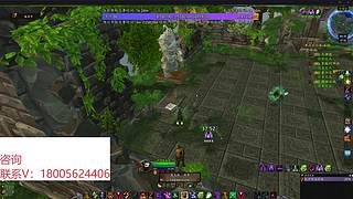 熊猫人85-90升级/征服/黄金挑战