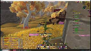 爱抓灵魂兽的boy