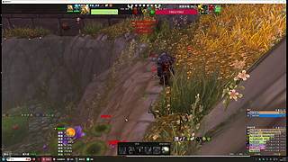 爱抓灵魂兽的boy