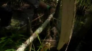 荒野求生，带大家体验不一样的生活