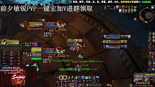 盗贼PVP 2400 攻略分享