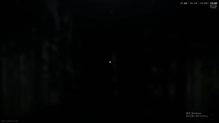 萌新勇闯塔科夫 10530594