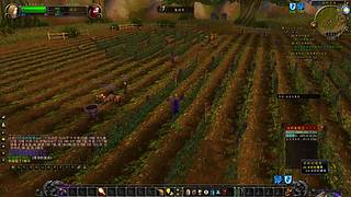 七彩圣斗士的直播间