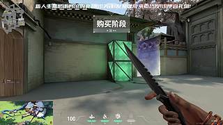 MC，OW，瓦以及各种单机随机播！