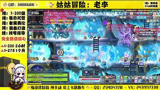 冒险岛回归导师