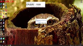 迷离劫：乱斗小猪仔