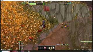 爱抓灵魂兽的boy