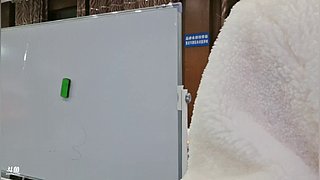 家族综艺开团啦