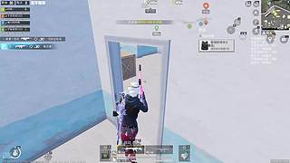 和平精英哇哇狗分