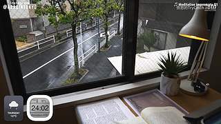 重生之奋发涂墙