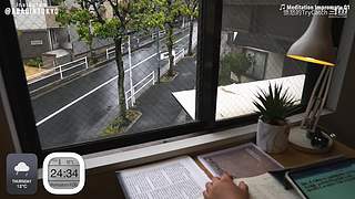 重生之奋发涂墙