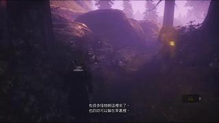 主播推荐 商品橱窗 求关注 刷刷小礼物