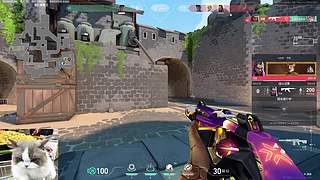 今天努力不掉段 喵不可妍