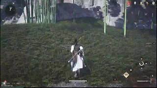 新人主播求关注 446880