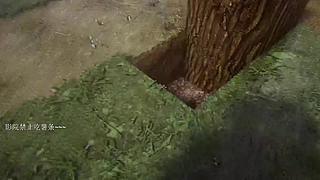 电影级画质，睡眠直播。~