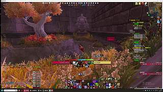 爱抓灵魂兽的boy