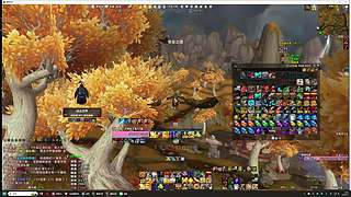 爱抓灵魂兽的boy