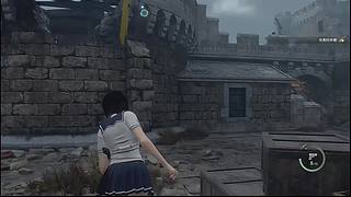 播个王阿姨的DLC