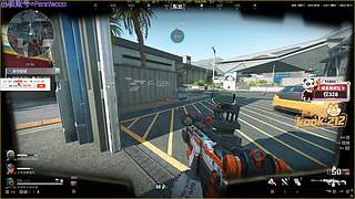 【双倍】扁桃体已发言