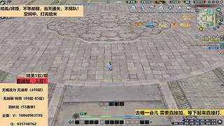 无视战力天波府精英/将领毕业功力羽林宫