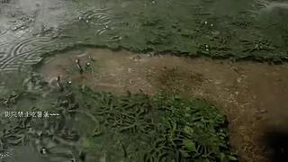 电影级画质，睡眠直播。~