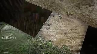 电影级画质，睡眠直播。~