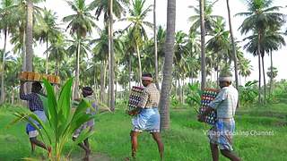 舌尖上的印度丨下饭必备丨点点关注不迷路！