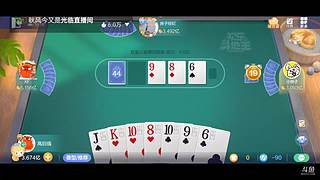 八雀狗都不玩！！！！