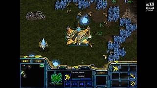 诸葛酒神曲的直播间