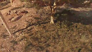 新人三角粥  善良的鼠鼠