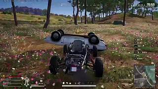 吃鸡吃鸡嗷┗|｀O′|┛