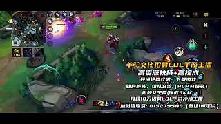 《视频轮播》羊驼文化招募手游LOL