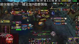 盗贼PVP 2400 攻略分享