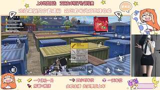 新主播 安卓帮打号