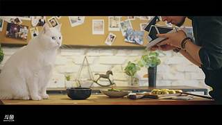 日食记线下店直播中！