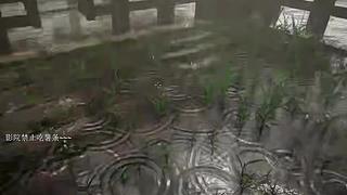 电影级画质，睡眠直播。~