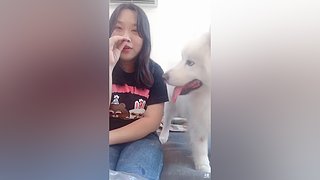 萌宠  零食制作