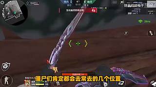 随风柚子在线互怼，CF柚子带你上分